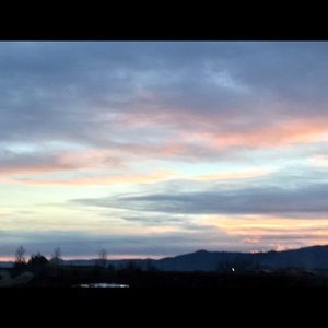 Meet your Posher, Chelby